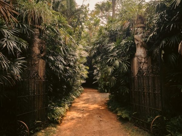 Relaxed Rhythms – 9 Days Gold Tour