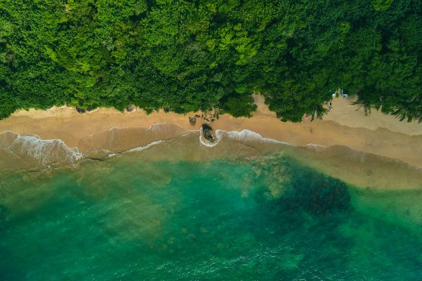 Edge of the Ocean: Where Waves Tell Stories & Wild Dreams Begin