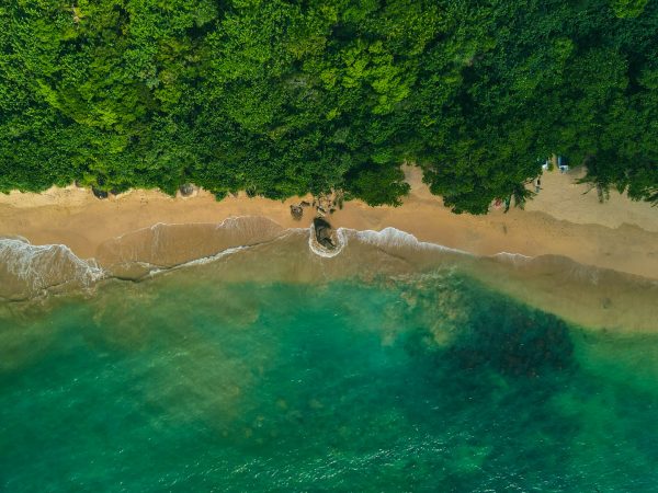 Edge of the Ocean: Where Waves Tell Stories & Wild Dreams Begin