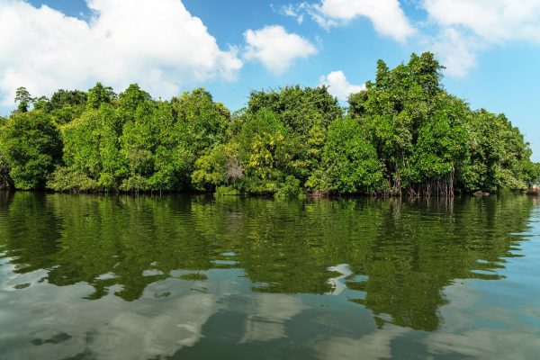 Hidden Stories of Koggala – A Journey Into the Soul of Southern Sri Lanka